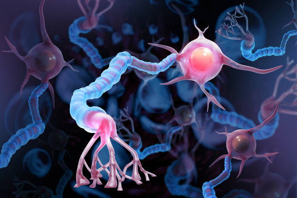 ESCLEROSIS MÚLTIPLE Y ESCLEROSIS LATERAL AMIOTRÓFICA: DOS ENFERMEDADES DIFERENTES CON UN NOMBRE PARECIDO